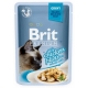 Brit premium 85g cat kaps.filety s kuřecím ve šťávě  1ks/24ks