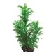 Rostlina Green Cabomba S 15cm