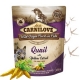 Carnilove Dog Pouch Paté Quail with Yellow Carrot 300 g