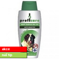 Profic.šamp.300ml antipar.