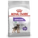 Royal Canin  3,0kg mini Sterilised dog
