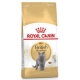 Royal Canin 10kg British Shorthair cat