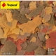 Tropical Breeder Line Staple flakes /Color Mix/ 5kg