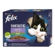Felix Fantastic 85gx12ks kaps. kuře+hovězí+losos+pstruh v želé/6ks  AKCE