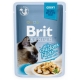 Brit premium 85g cat kaps.filety s kuřecím ve šťávě  1ks/24ks AKCE