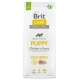 Brit Care 12kg Puppy Sustainable Chicken & Insect dog