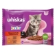 Whiskas 85g x 4ks kapsička junior klasický výběr ve šťávě cat  