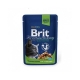 Brit premium 100g cat kaps.chicken sterilized 1ks/24ks