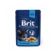 Brit premium 100g kitten kaps.chicken v omáčce 1ks/24ks