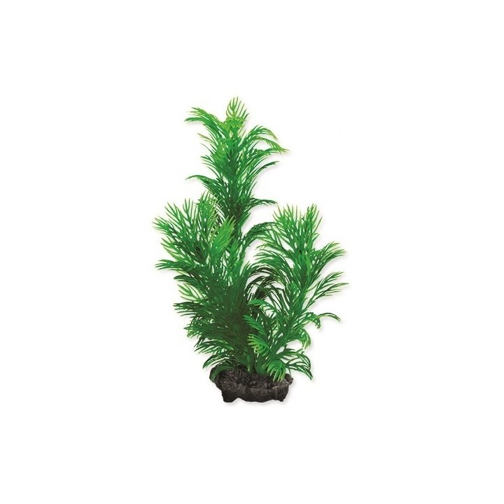 Rostlina Green Cabomba S 15cm