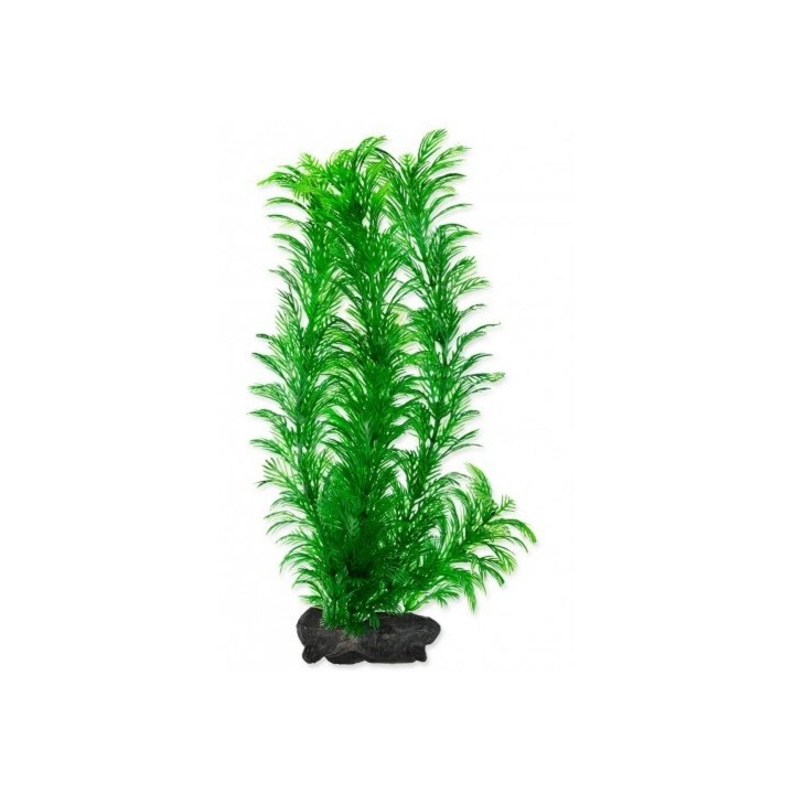 Rostlina Green Cabomba Tetra L 30cm