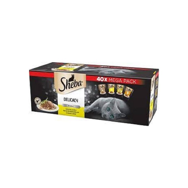 Sheba Delicacy  40 x 85g kapsička drůbeží výběr v želé cat
