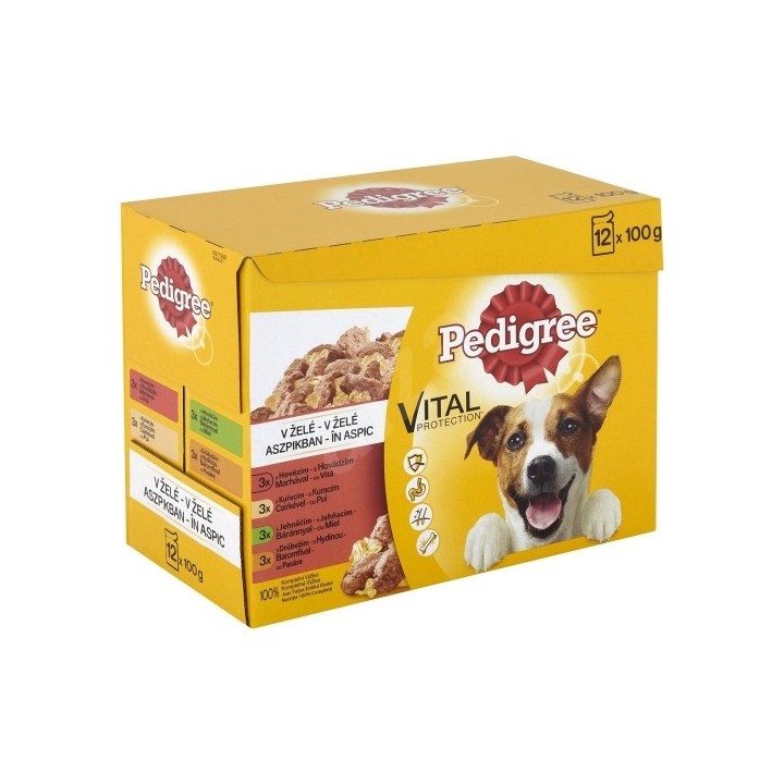 Pedigree 100gx12ks kapsička adult - krabice v želé dog