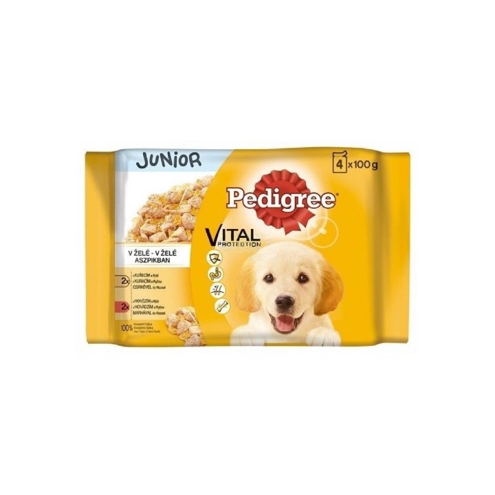 Pedigree 100gx 4ks kapsička junior smíšený výběr v želé dog