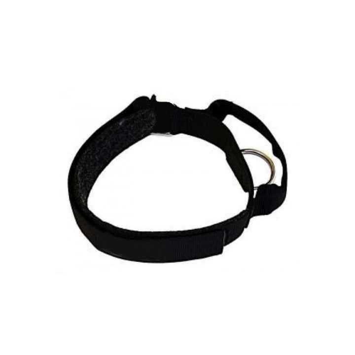 Obojek popruh podšitý 4/65cm s úchytem