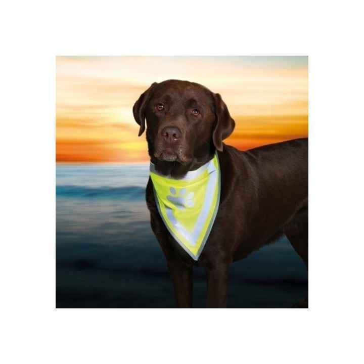 Šátek reflexní pro psa L-XL 43-60cm