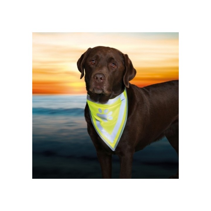 Šátek reflexní pro psa S-M 29-42cm