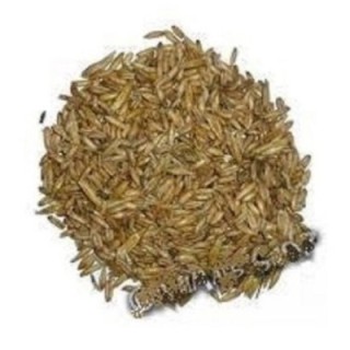 Oves loupaný 25kg Apetit