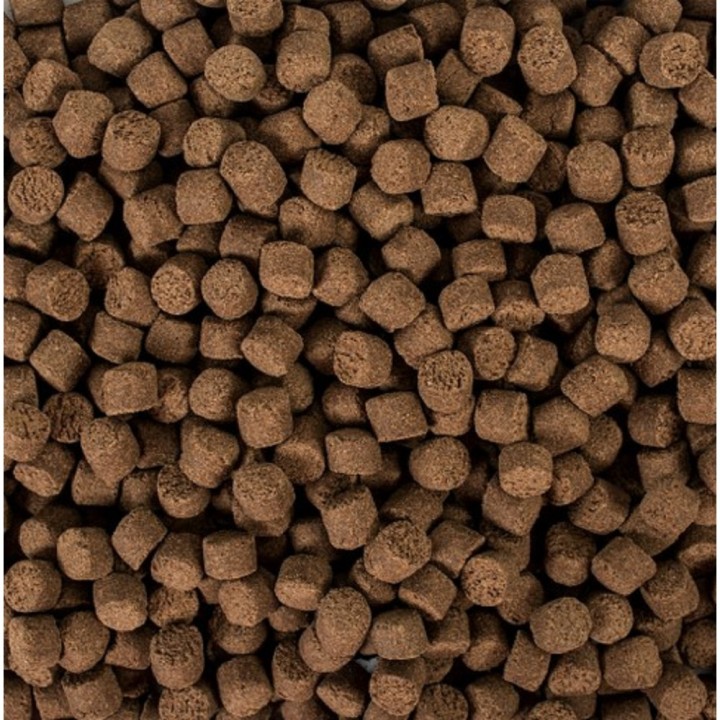 Tropical Sterlet Basic L 3l /1,5kg vědro