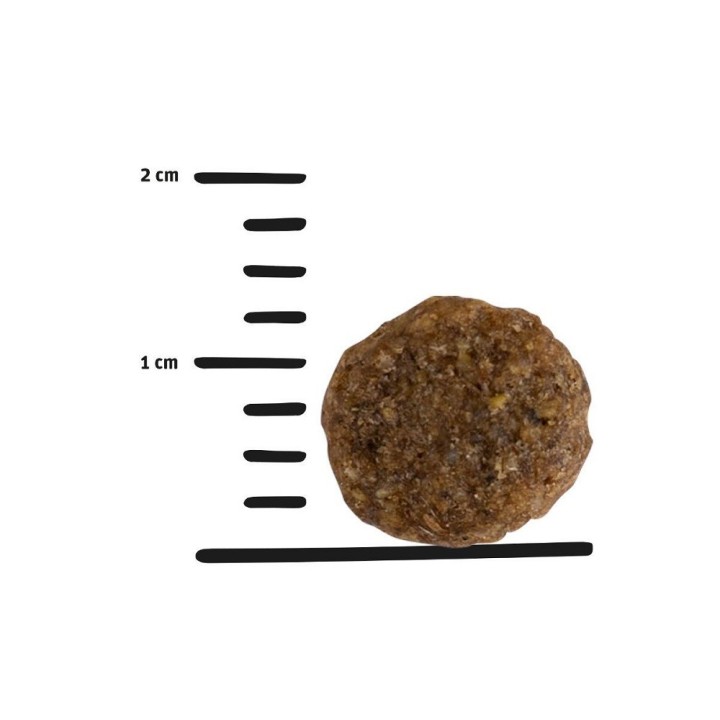 GPF 7,5kg Vitality with Insects dog