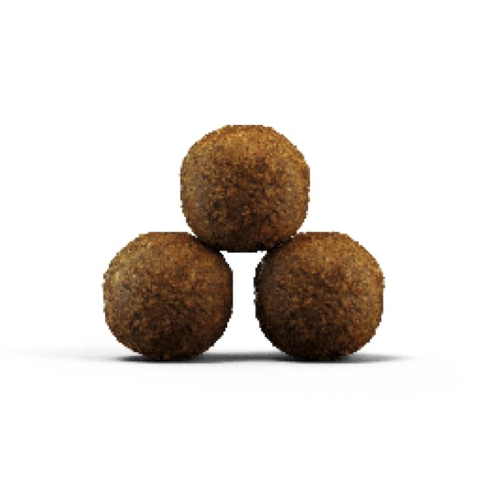 Josera  4,25kg * Kitten grainfree (092427_Z A)