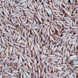 Poškozený Oves loupaný 23kg, Štefek