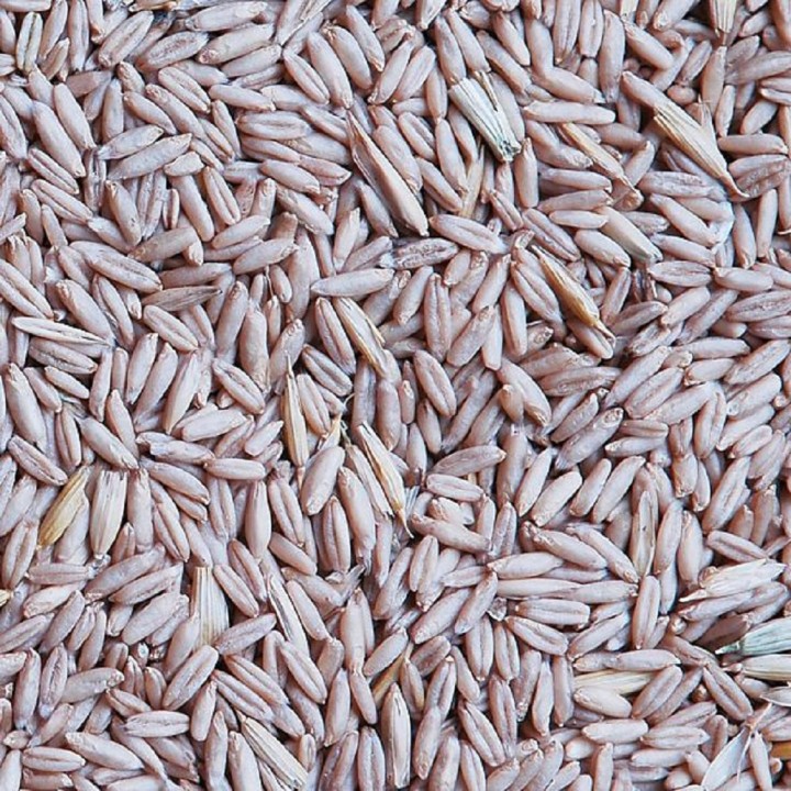 Poškozený Oves loupaný 23kg, Štefek