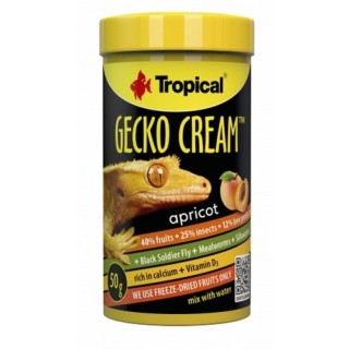 Tropical Gecko Cream Apricot 100ml/55g AKCE