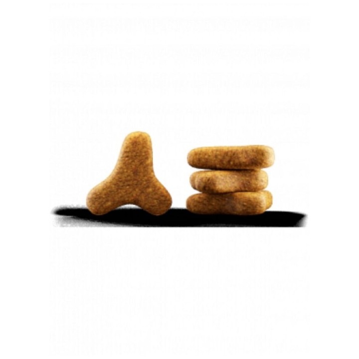 Josera  2kg  Léger (023016_Z  A)