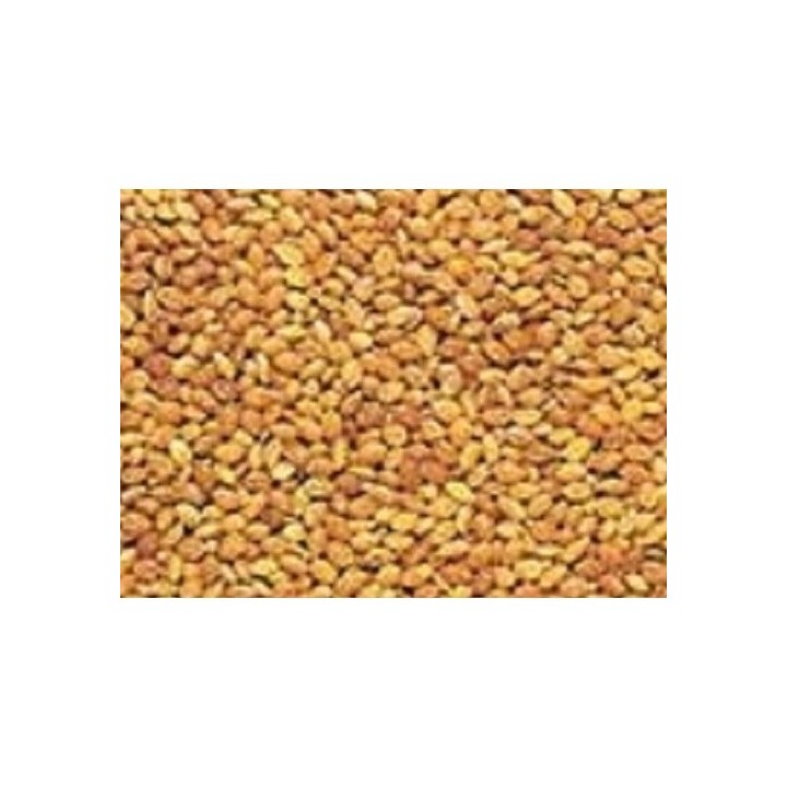 Proso žluté 25kg, Avicentra