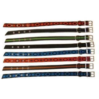 Obojek popruh 2,5x51cm s velkou sponou  AKCE