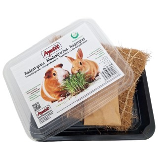 Apetit hlodavčí tráva