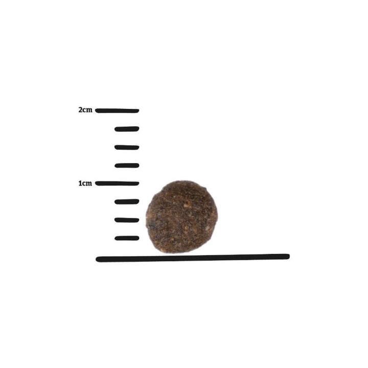 GPF 3kg  Mini with Insects dog AKCE