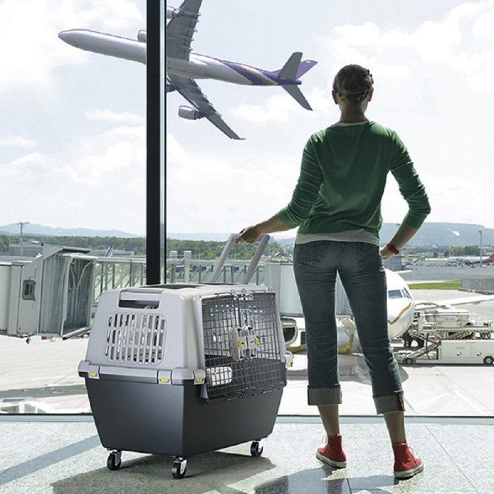 Přepravka - Gulliver Touring 80cm tmavá/světlá  + box  AKCE