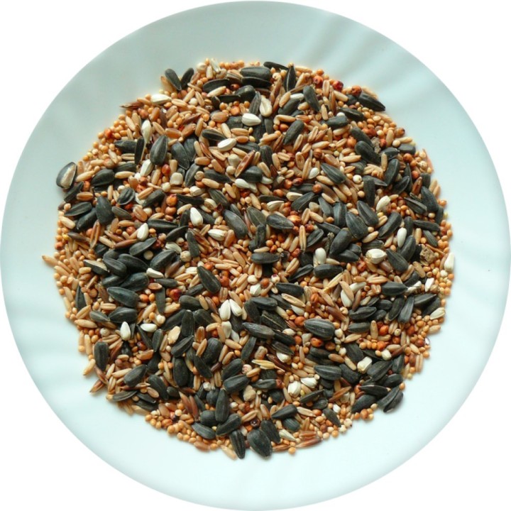 Poškozená Avicentra směs do krmítek 490g