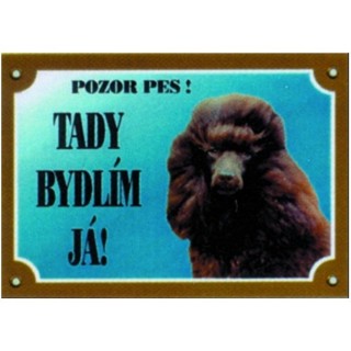Cedulka pudl hnědý AKCE