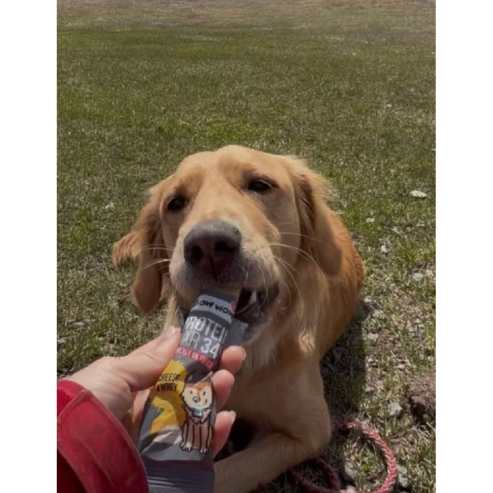 Bow Wow Protein Bar 34% Cheese & Whey 32g dog