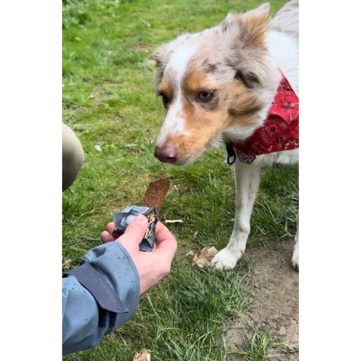 Bow Wow Protein Bar 33% Insect & Hemp 32g dog