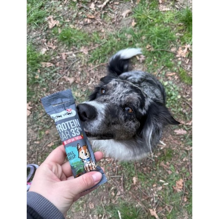 Bow Wow Protein Bar 33% Krill & Kelp 32g dog