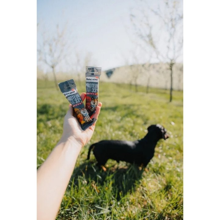 Bow Wow Protein Bar 33% Beef & Berries 32g dog
