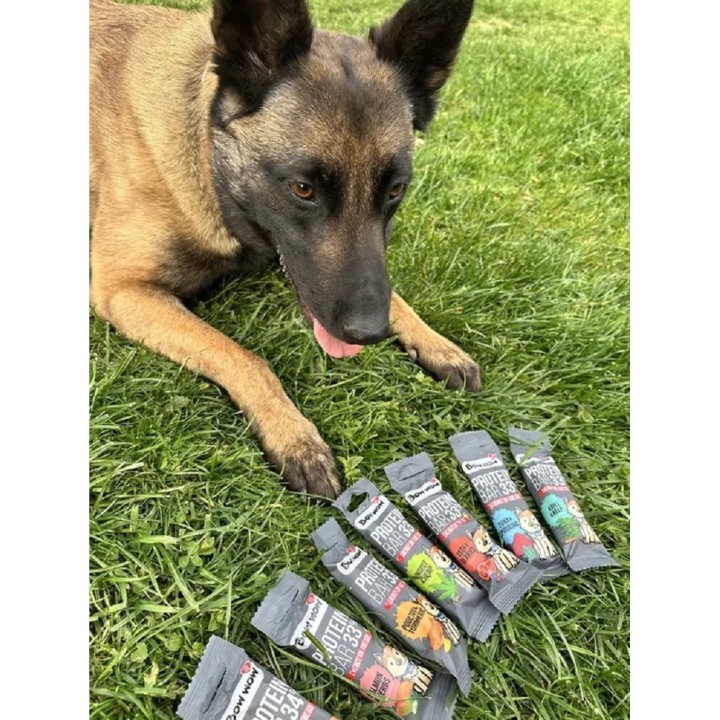 Bow Wow Protein Bar 33% Salmon & Herbs 32g dog