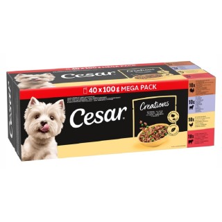 Cesar Creations v omáčce 40x100g kapsička
