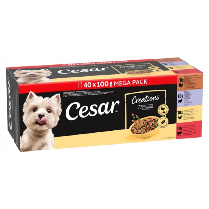 Cesar Creations v omáčce 40x100g kapsička