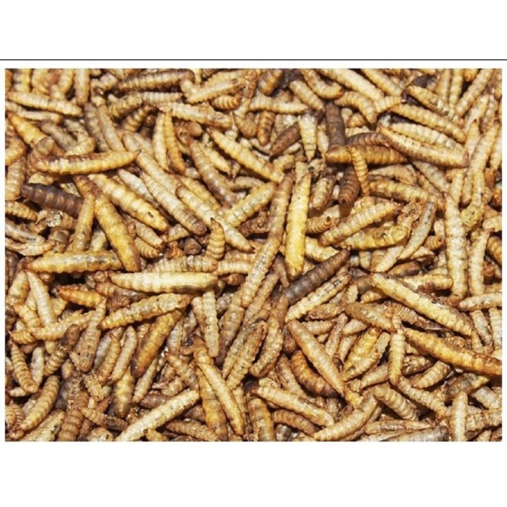 Megan Sušené larvy mouchy černé 100g